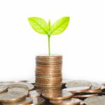 green leaf plant growth on rows of coins