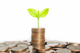 green leaf plant growth on rows of coins