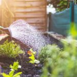 Australians Embrace Urban Farming Amid Rising Costs and Environmental Concerns