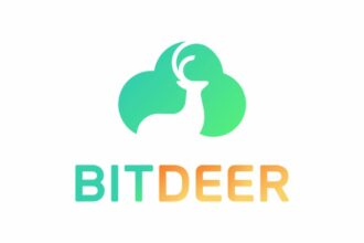 Bitdeer Technologies Soars in Q2 2024 Strong Revenue Growth and Strategic Advancements