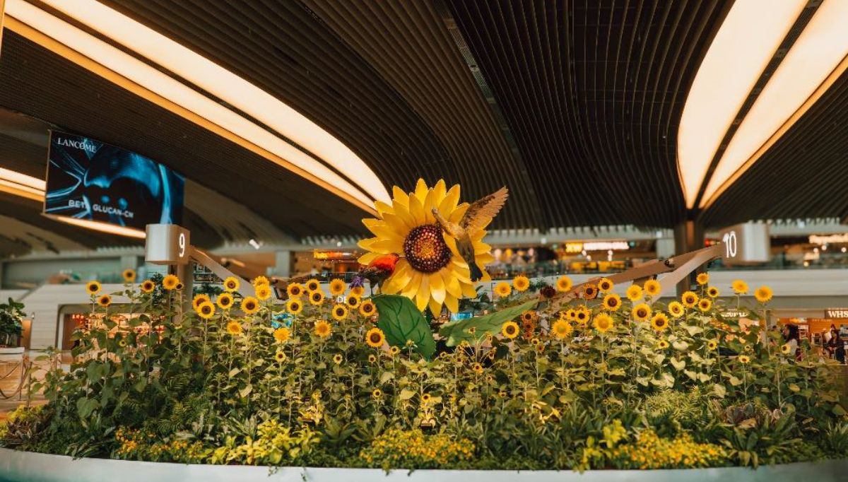 Changi Airport Transforms into a Sunflower Wonderland with ‘A Sunflower Sojourn’ Exhibit