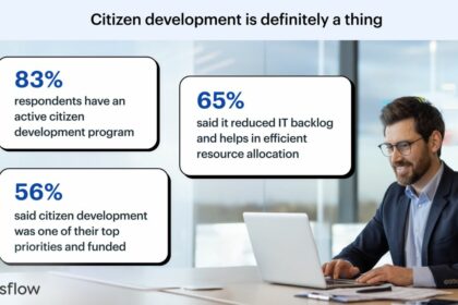 Kissflow Citizen Development Survey 2024 - Report Highlights